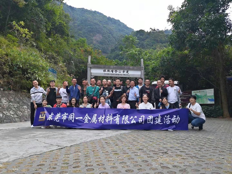 91免费网站大全金屬團建